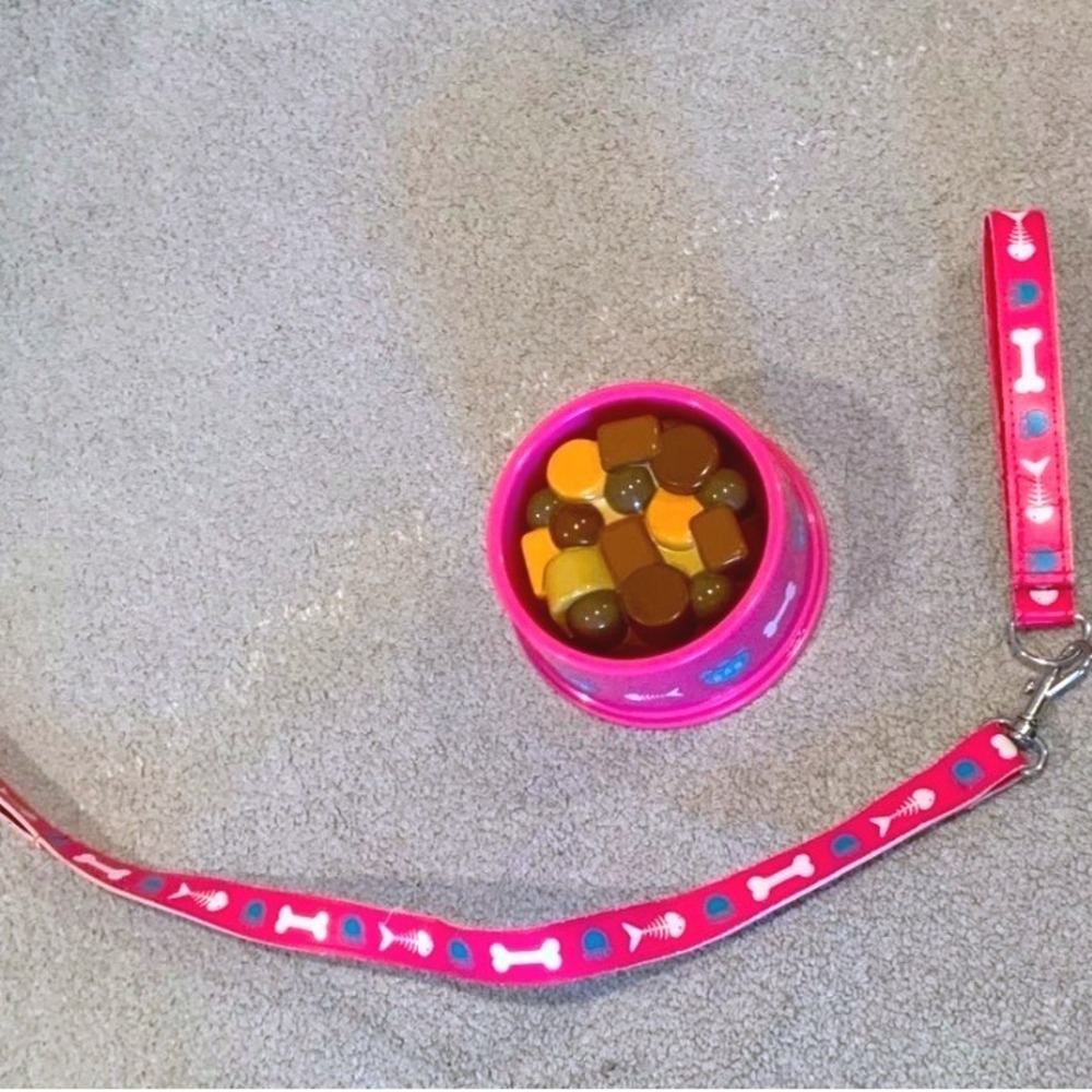 Build A Bear Promise Pet Accessory Set Pink Bone Fish Leash Food Bowl Kids OS